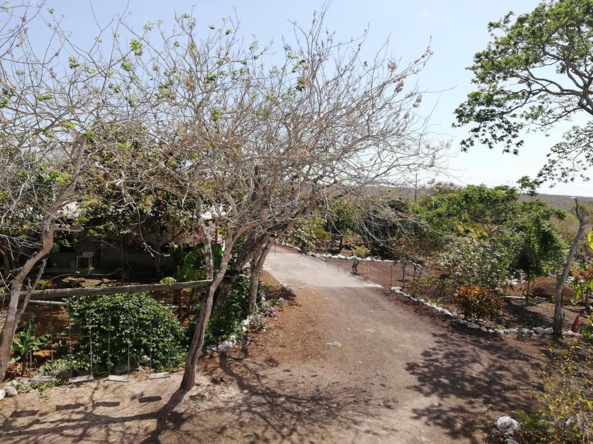 Cucuve Eco Hostal Puerto Baquerizo Moreno Dış mekan fotoğraf