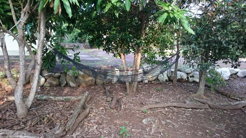 Cucuve Eco Hostal Puerto Baquerizo Moreno Dış mekan fotoğraf