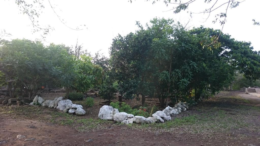 Cucuve Eco Hostal Puerto Baquerizo Moreno Dış mekan fotoğraf