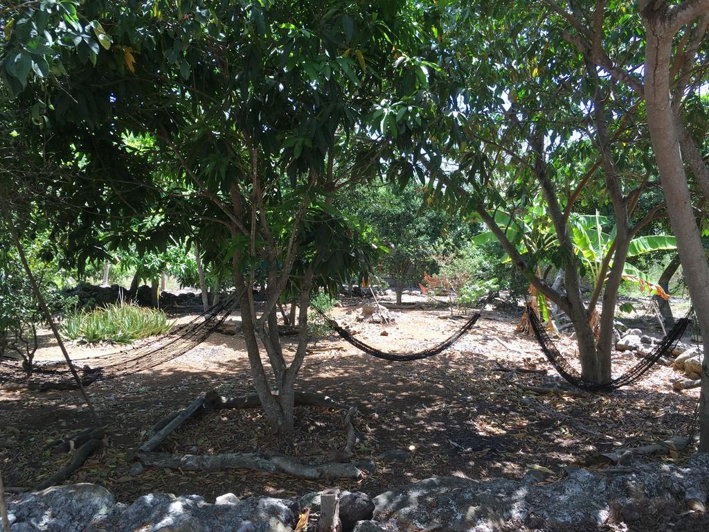 Cucuve Eco Hostal Puerto Baquerizo Moreno Dış mekan fotoğraf