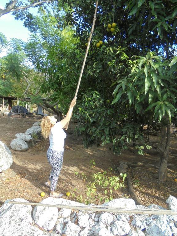 Cucuve Eco Hostal Puerto Baquerizo Moreno Dış mekan fotoğraf